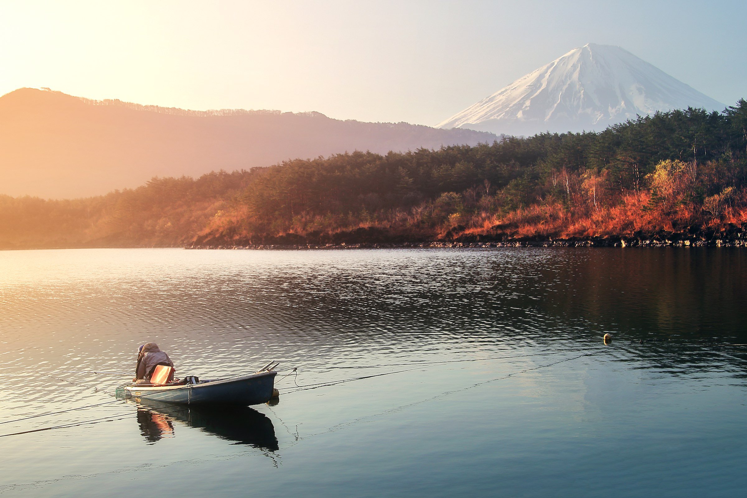 🏞️ 사이코・도만 그린 파크 이미지 8